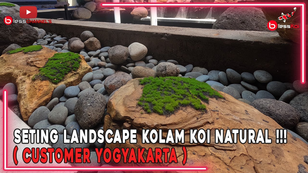 SETING LANDSCAPE KOLAM KOI NATURAL ❗❗❗ ( CUSTOMER YOGYAKARTA )