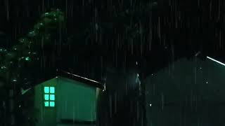 Natural Rain Sounds  Listen To The Rain And Thunder On The Forest | Sounds to Sleep, Relax, Healing