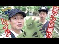 【ポケモンGO】目標達成!?これがレイドドリーム!?【バンギラス】