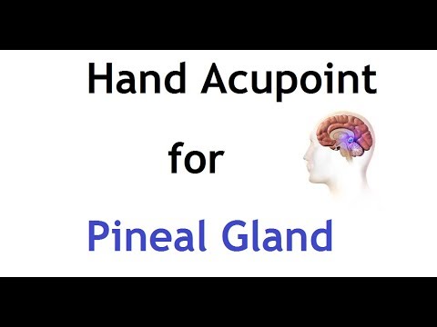 pineal gland mri Hand Acupressure Point for Pineal Gland
