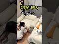 공간활용 인생소파 #살림꿀템 #좁은집인테리어 #소파베드 #원룸인테리어 #자취러 #인테리어 #살림템