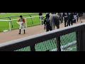 連敗を44で止めた柴田 大知騎手