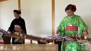 Заказать японских музыкантов на праздник и встречу гостей в Москве - музыкант на Кото