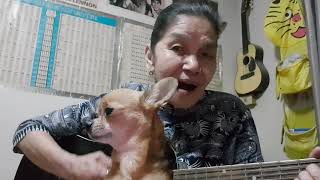 Take me home country road...👵Cover by Malinda...👵