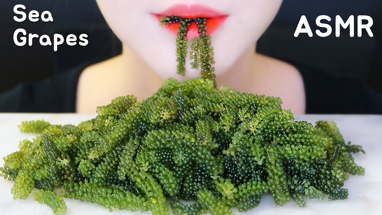 *SLOW* SEA GRAPES ASMR SEAWEED ASMR 바다포도 ASMR 🌊 (NO TALKING)