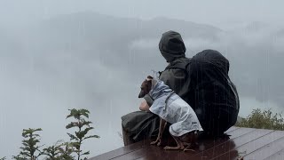 폭우가 내리는 산 정산에서 경주견과 생존하기. 우중 백패킹 [빗소리 ASMR / 우중캠핑]