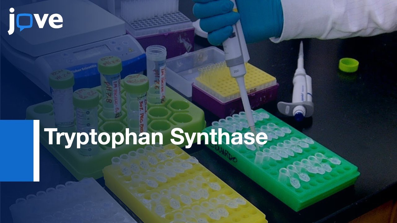 Tryptophan Synthase PCR Mutagenesis and Fast Protein Purification ...