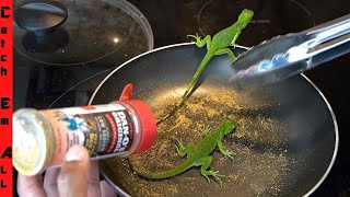BABY IGUANA Catch and COOK! **How to BLOW DART**