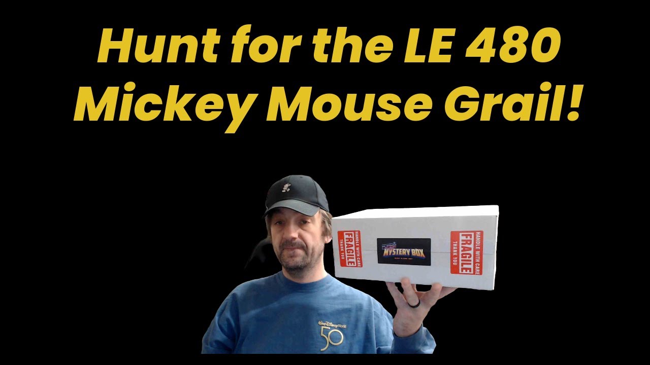 $65 Funky Bop Mystery Box - Hunt for the Mickey Mouse Grail ( Guaranteed Value )