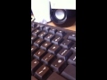 Fly on my keyboard