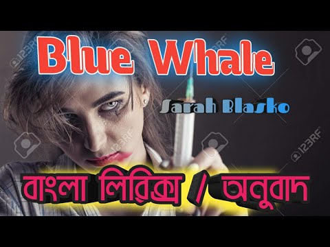 Blue whale all i want terrible song Bangla Lyric Bengali Translation  Meaning