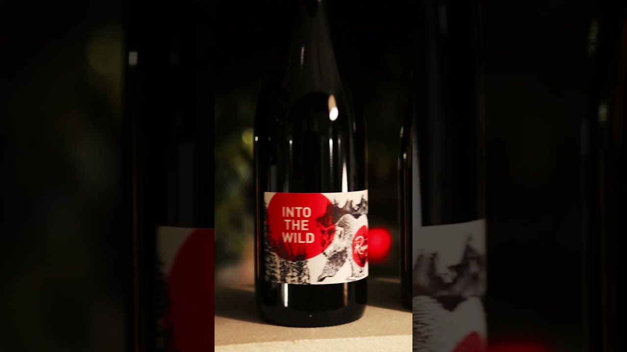 TEASER film festivals.com Wine Tasting in Cannes for festival directors