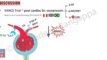 Hemodynamic Journal update  - 2019 | Dr Pradeep Rangappa