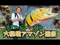 【海外釣行】10年ぶり!?大秘境アマゾン遠征に行ってきた!【酒井俊信】
