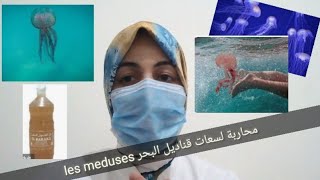 # علاج لسعة قنديل البحر/ أكوابيبا  قنديل البحر / les meduses /aquabiba