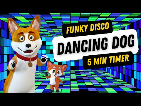 Funny Dancing Disco Dog Countdown Timer 5 Minutes with Funky Music