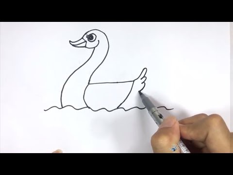 Guide to Drawing Animals From 1-9 | How to Draw Birds Step by Step.