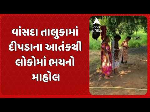 Navsari News | નવસારી જિલ્લાના વાંસદા તાલુકામાં દીપડાના આતંકથી લોકોમાં ભયનો માહોલ