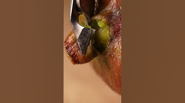 Can you figure out what fruit this is? #asmr #satisfying #macro