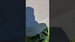 'Fix a Leak' application in a hot tub/ spa