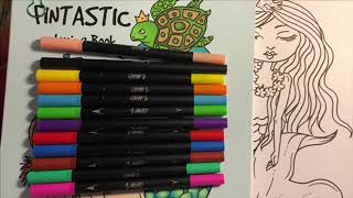 bic intensity dual tip markers