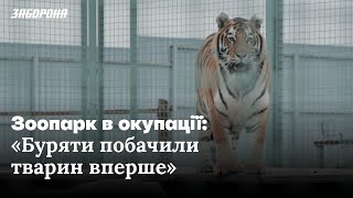 Як виживали тварини зоопарку «Парк XII місяців» під час окупації у селі Демидів на Київщині.