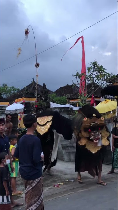 Barong Bangkung Dengan Gambelan Suling Yang Bagus #shorts