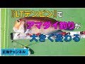 『LTテンビン』でアマダイ釣りは３倍楽しい【一度使ったら手放せない】