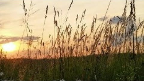 سور (العصر ، الهمزة ، الفيل ) - بصوت القارئ عمر بن محمد النعيم حفظه الله تعالى ...