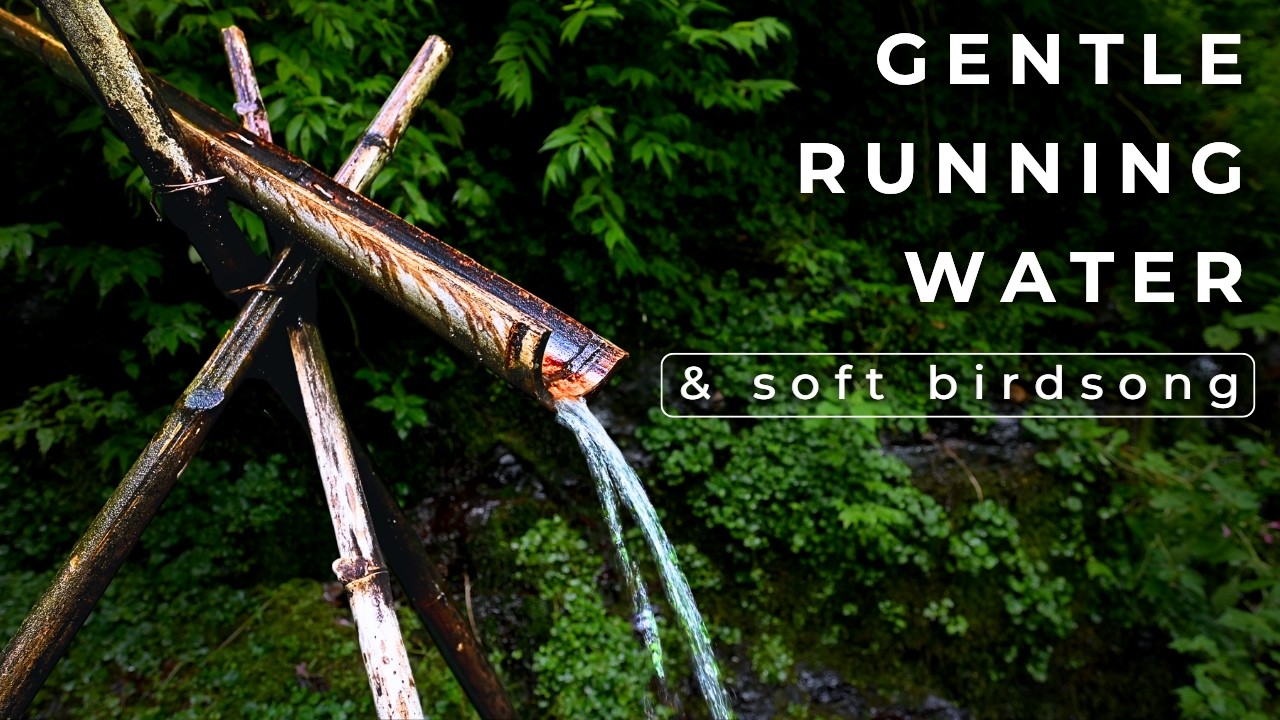 Gentle Running Water with Soft Birdsong | Natural River Sounds