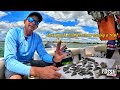 Fossil Junkies - Venice Florida Megalodon Fossil Shark Tooth Dive Charter