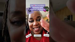 Lily∞Bot with Raspberry Pi Pico W: Explaining MicroPython obstacle avoidance code