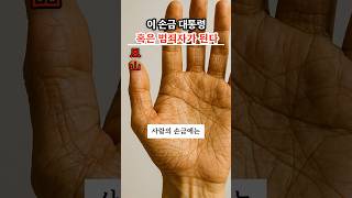 이 손금 대통령이 되거나 범죄자가 된다