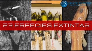 🌍 ¡MÁS DE 20 ESPECIES EXTINTAS!