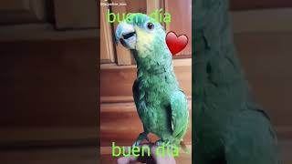 buen día #viral #omg #humor #meme #risas #animalesmaravillosos