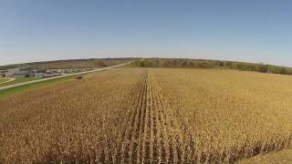 Wapsie Valley FFA test plot harvest
