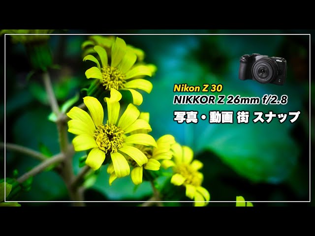 カメラ女子に❤️EM❤️Ai-S:28-85mm付き❤️ニコン MFフィルムカメラ カメラ女子に❤️EM○Ai-S:28-85mm付き❤️ニコン MFフィルムカメラ