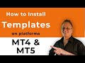 How to Install Templates in MT4 and MT5 Metatrader Forex ...