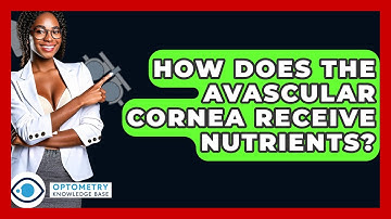 How Does The Avascular Cornea Receive Nutrients? - Optometry Knowledge Base