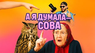 А Я ДУМАЛА — СОВА?! 😂 Песня, которая уже стала мемом | Семь чудес