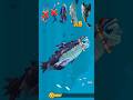 Hungry Shark Evolution Gameplay Noob Shark vs Pro 