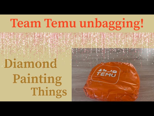 Portable Diy Diamond Painting Storage Containers With - Temu