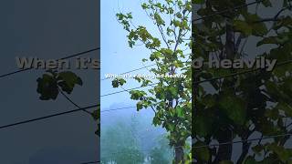 I Just Trying To Be Different From Avg Peoples....