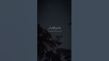 ومن آياته أن يرسل الرياح مبشرات وليذيقكم من رحمته | سورة الروم  | محمد صديق المنشاوي