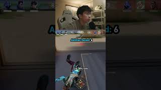 Veto is the ultimate bodyguard