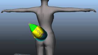 Work in Progress: Second Life - Animated Fuzzy Short Tail