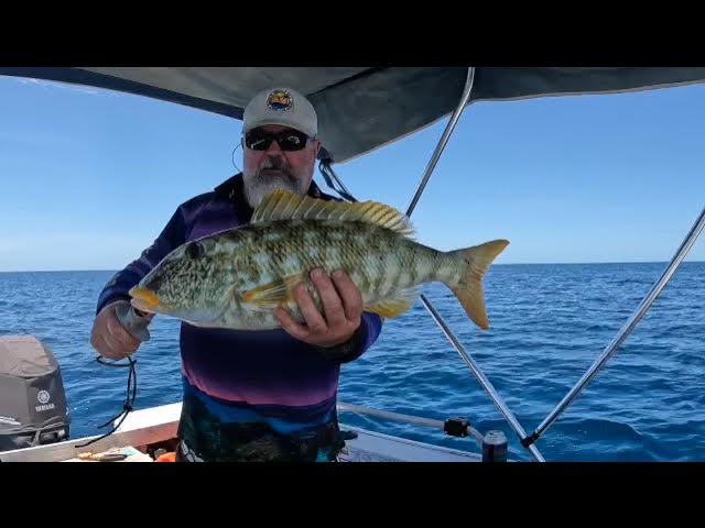FC VLOG #2: Fishing the Scottsboro Tackle Co. Swimbaits for Florida Bass 