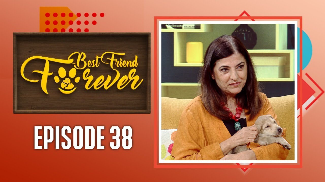 Best Friend Forever/Pet show/Episode 38 / Prevention of Cruelty to