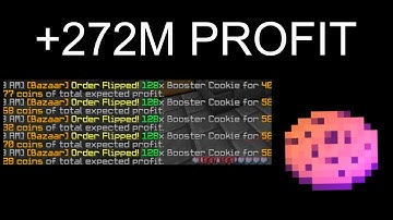 +272m in 28 seconds from booster cookies (hypixel skyblock)