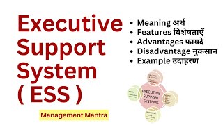 Executive Support System | ESS | MIS | Management Information System